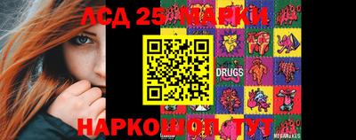 гашик Донской