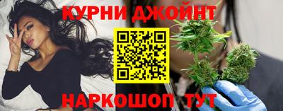 гашик Донской