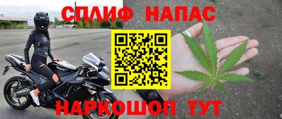 гашик Донской