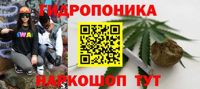 гашик Донской