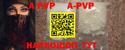 гашик Донской