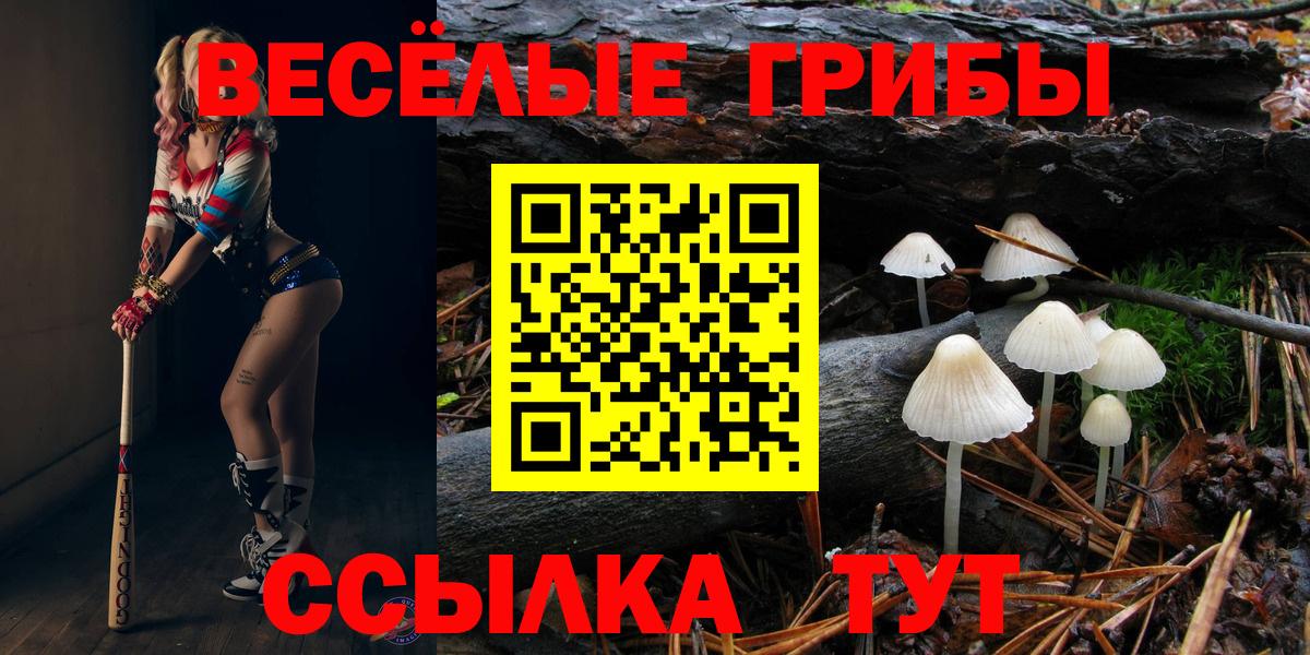 Псилоцибиновые грибы мицелий  Вход с VPN  где продают наркотики  Магадан 